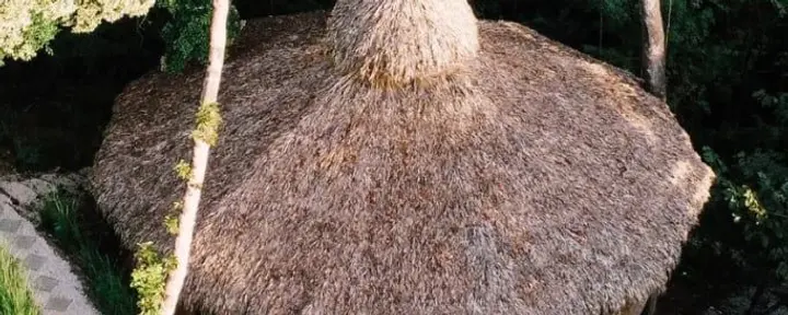 Huachuma- ja San Pedro -syventymiset