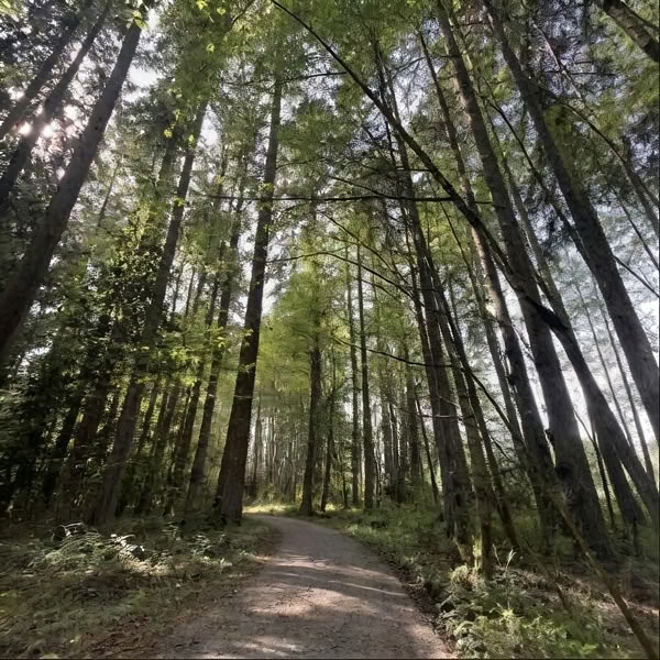 Yhden päivän henkilökohtainen retriitti