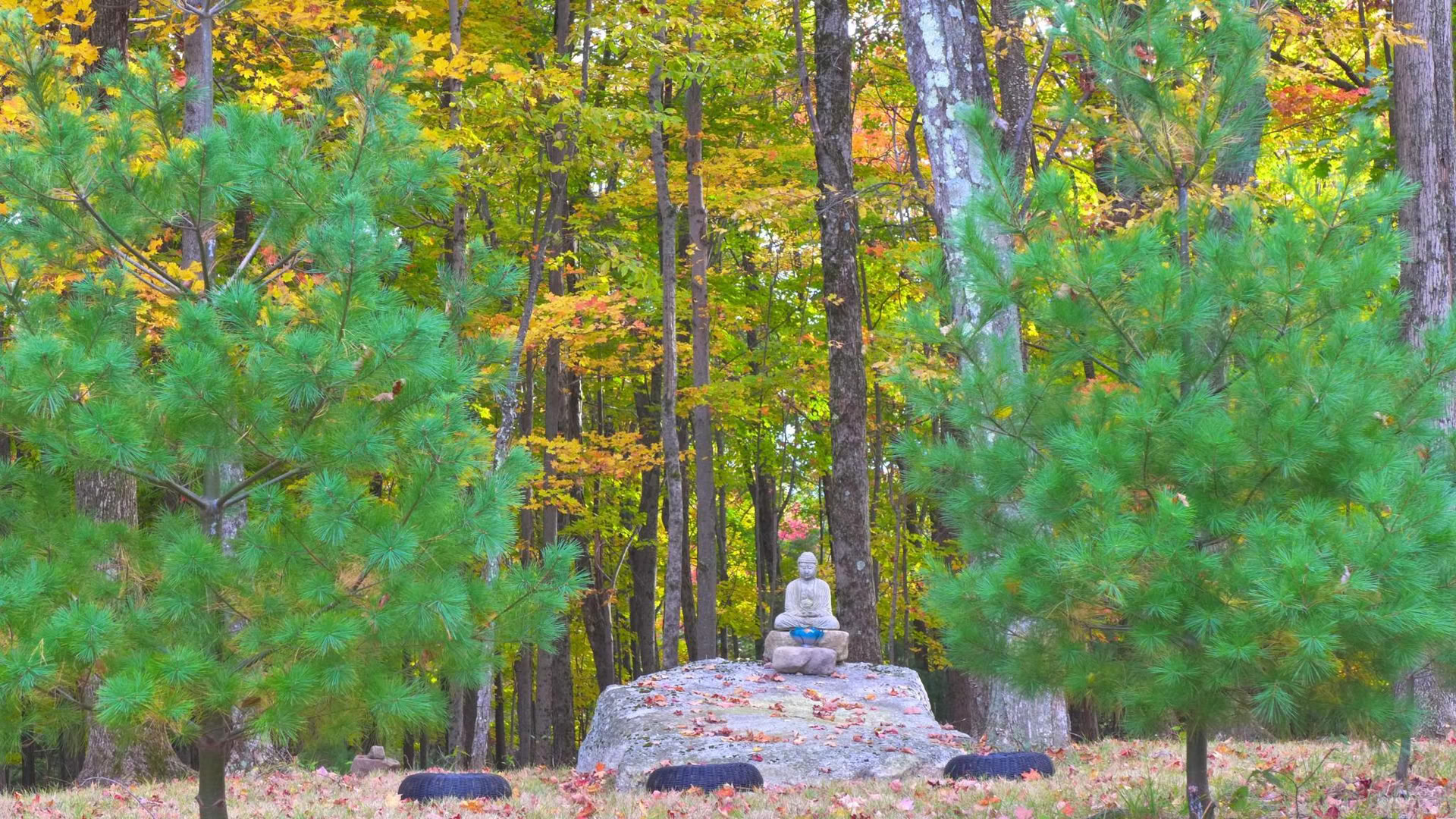 Triratna NY-NJ -sanghan retriitti