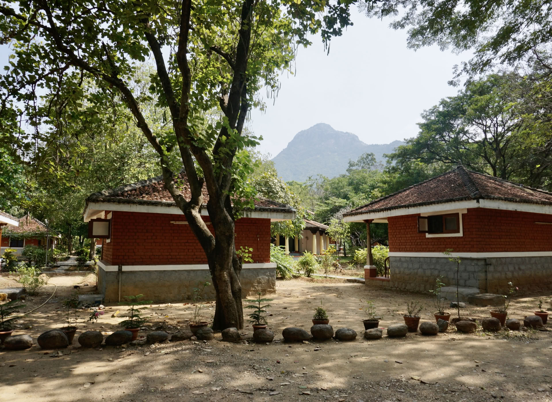 24. tammikuuta 21 päivän hiljaisen meditaation detox-ashram-retriitti Intiassa