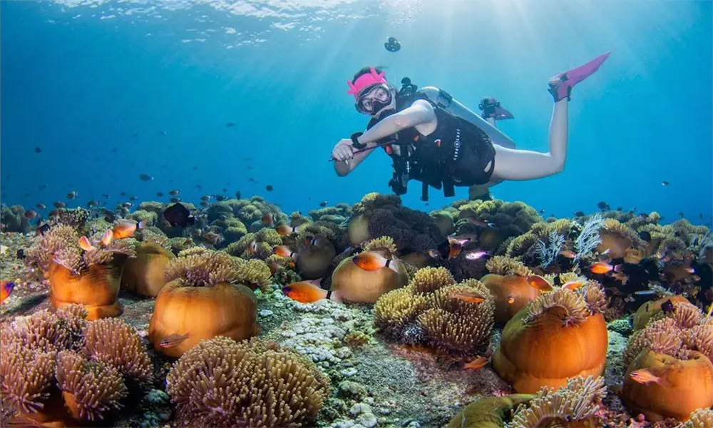 Sukellus Menjanganin saarella