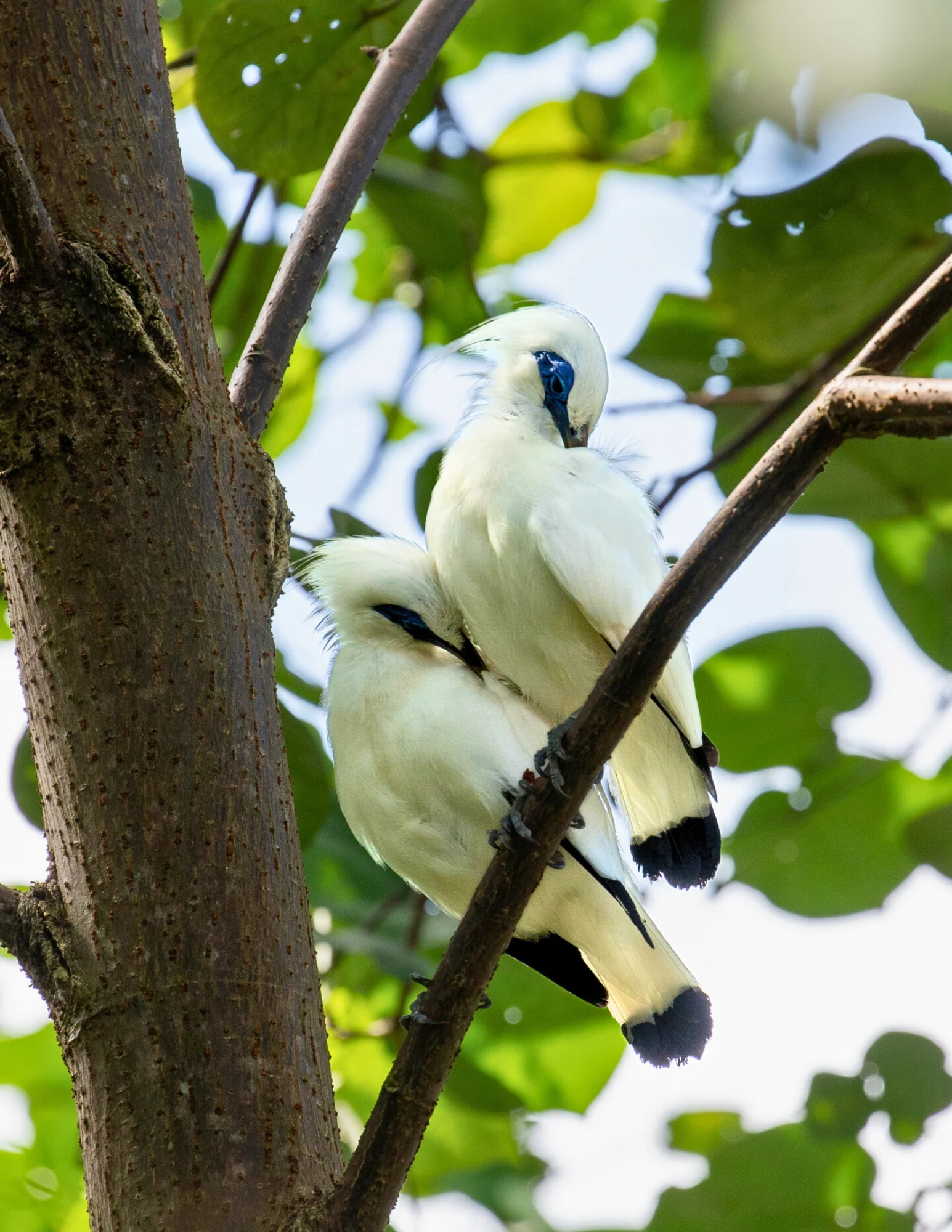 Zen-vaellus ja vesiputouslöydöt