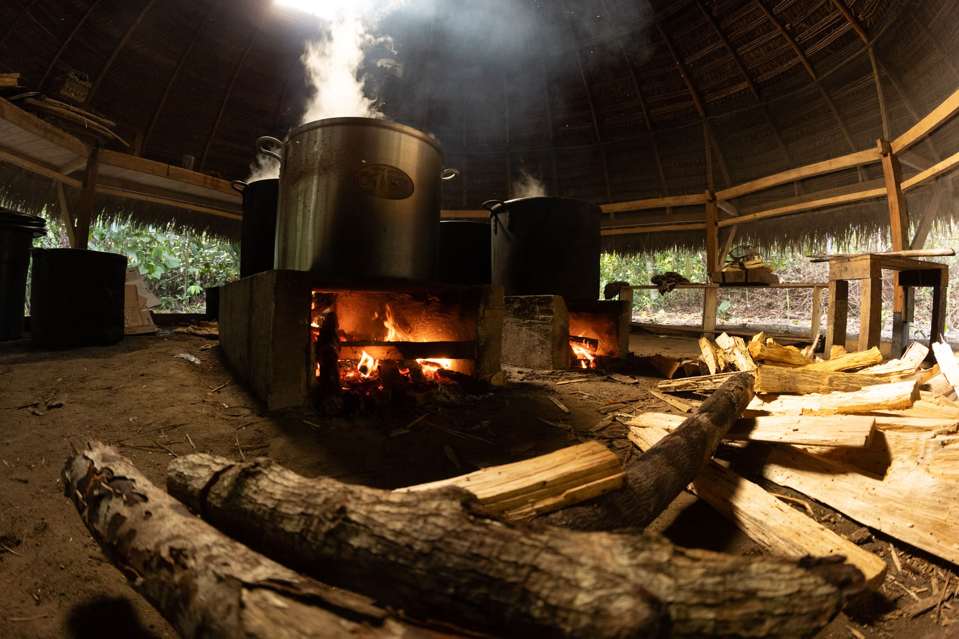 Avoin ayahuasca-retriitti Psychonauta Tribessa