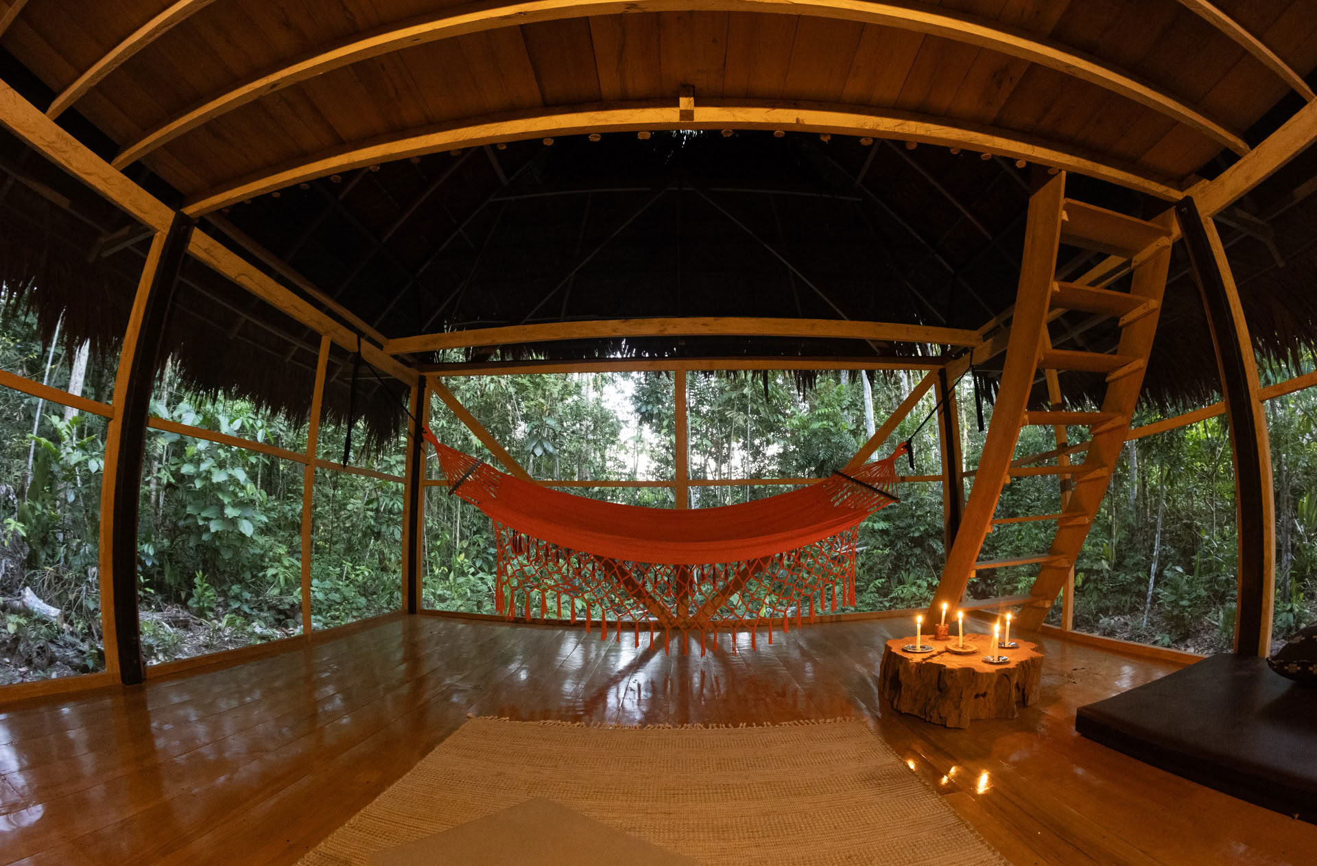 Avoin ayahuasca-retriitti