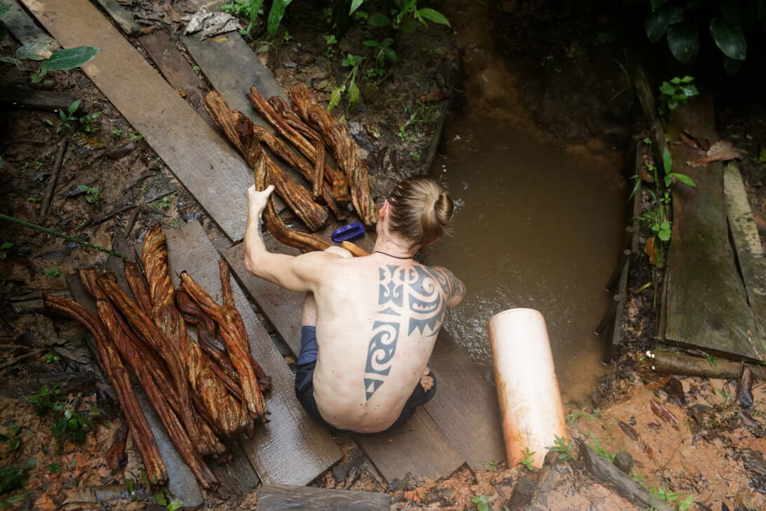 Ayahuasca-retriitti ja mestarikasvien dieta Perussa