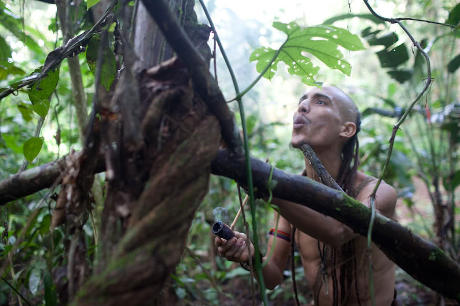 Ayahuasca-retriitti ja mestarikasvien dieta Perussa