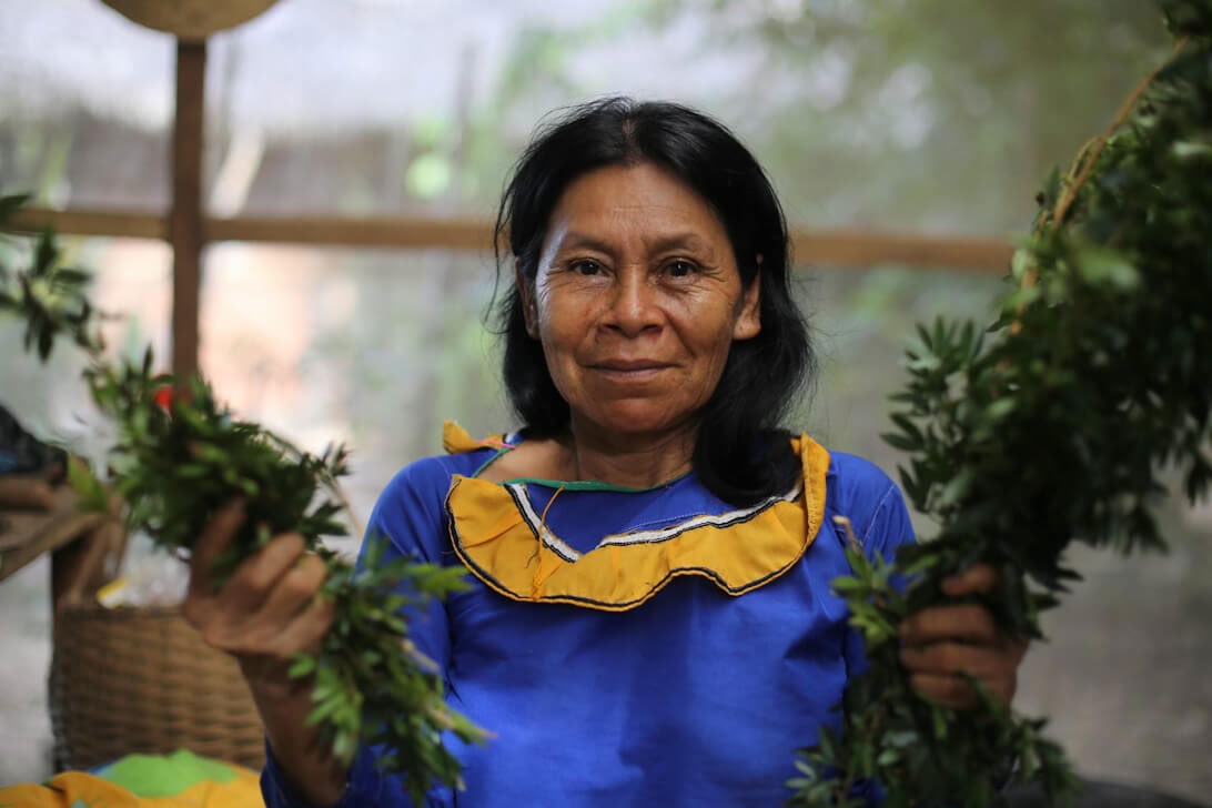 Ayahuasca-retriitti ja mestarikasvien dieta Perussa