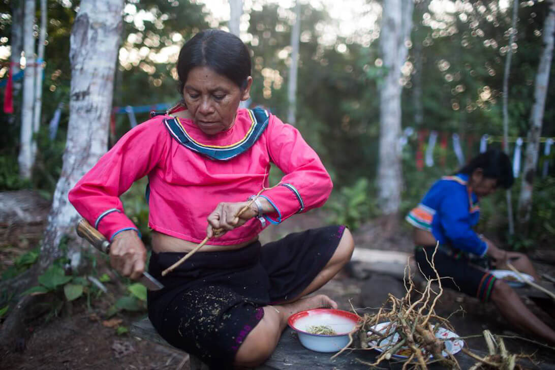 Ayahuasca-retriitti ja mestarikasvien dieta Perussa