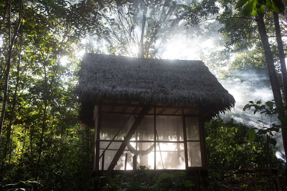Ayahuasca-retriitti ja mestarikasvien dieta Perussa