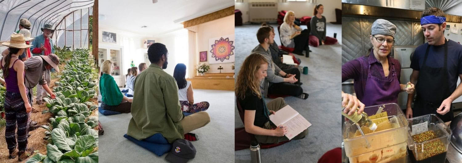 Living Yoga -koulutus (LYT) – 16.11.–13.12.