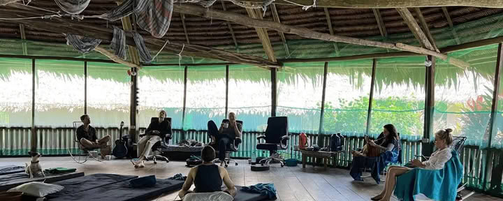 Amazonin – Blue Morpho Lodgessa 3 ayahuascaa ja 1 San Pedro