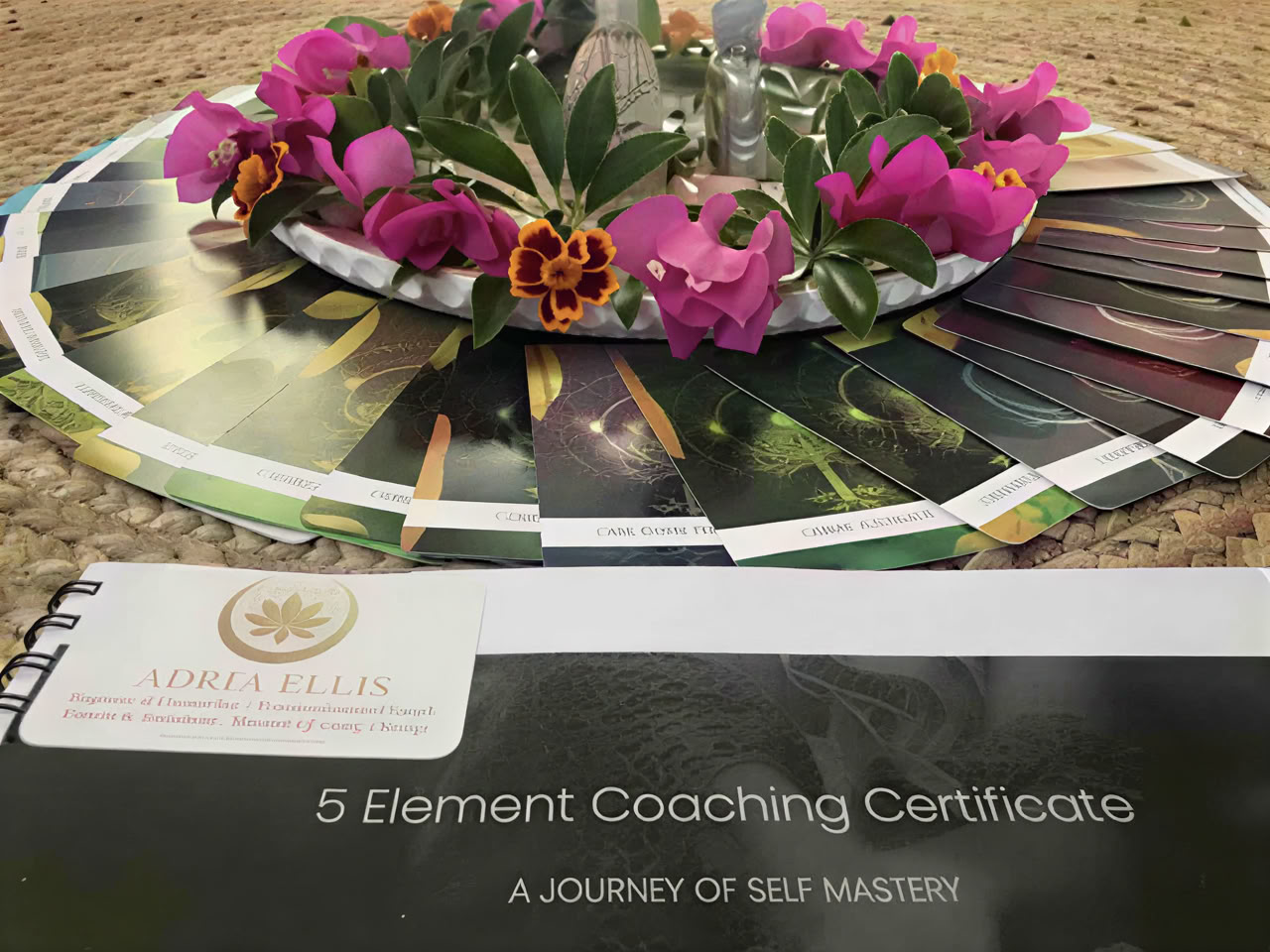 5 elementin coaching-sertifikaatti