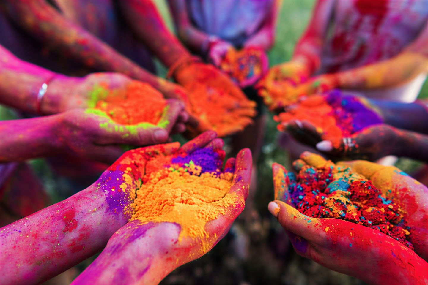 Himalajan henki" -kiertue + Holi-festivaali Intiassa
