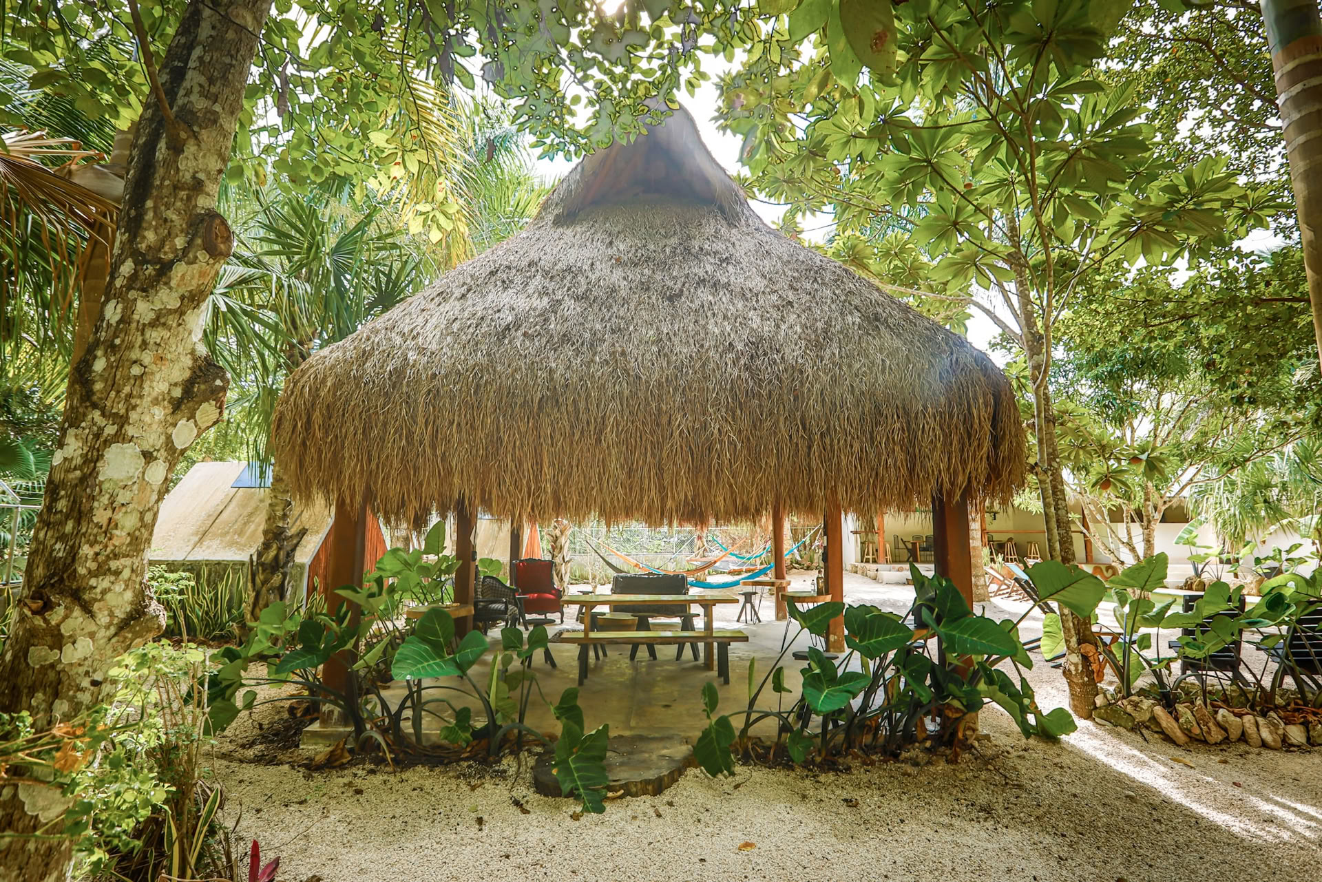 Bufo Lagoon -paketti (2 yötä, Bacalar)