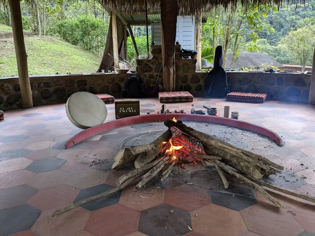 Ayahuasca-päiväseremonia Hayulima Natural Reservessä