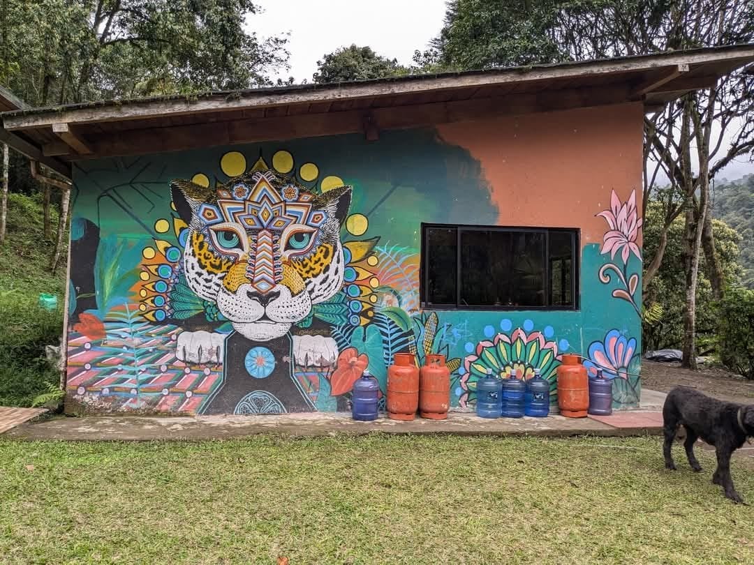 3 päivän – San Pedro ja ayahuasca – viikonloppumatka