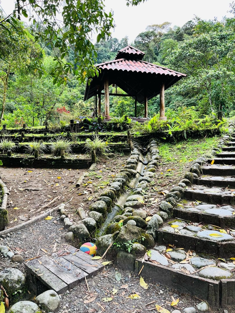 3 päivän – San Pedro ja ayahuasca – viikonloppumatka