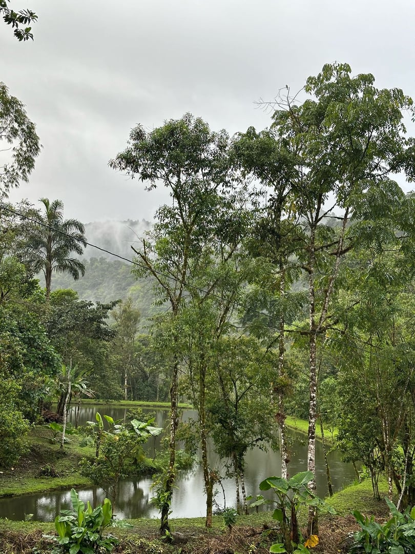 3 päivän – San Pedro ja ayahuasca – viikonloppumatka