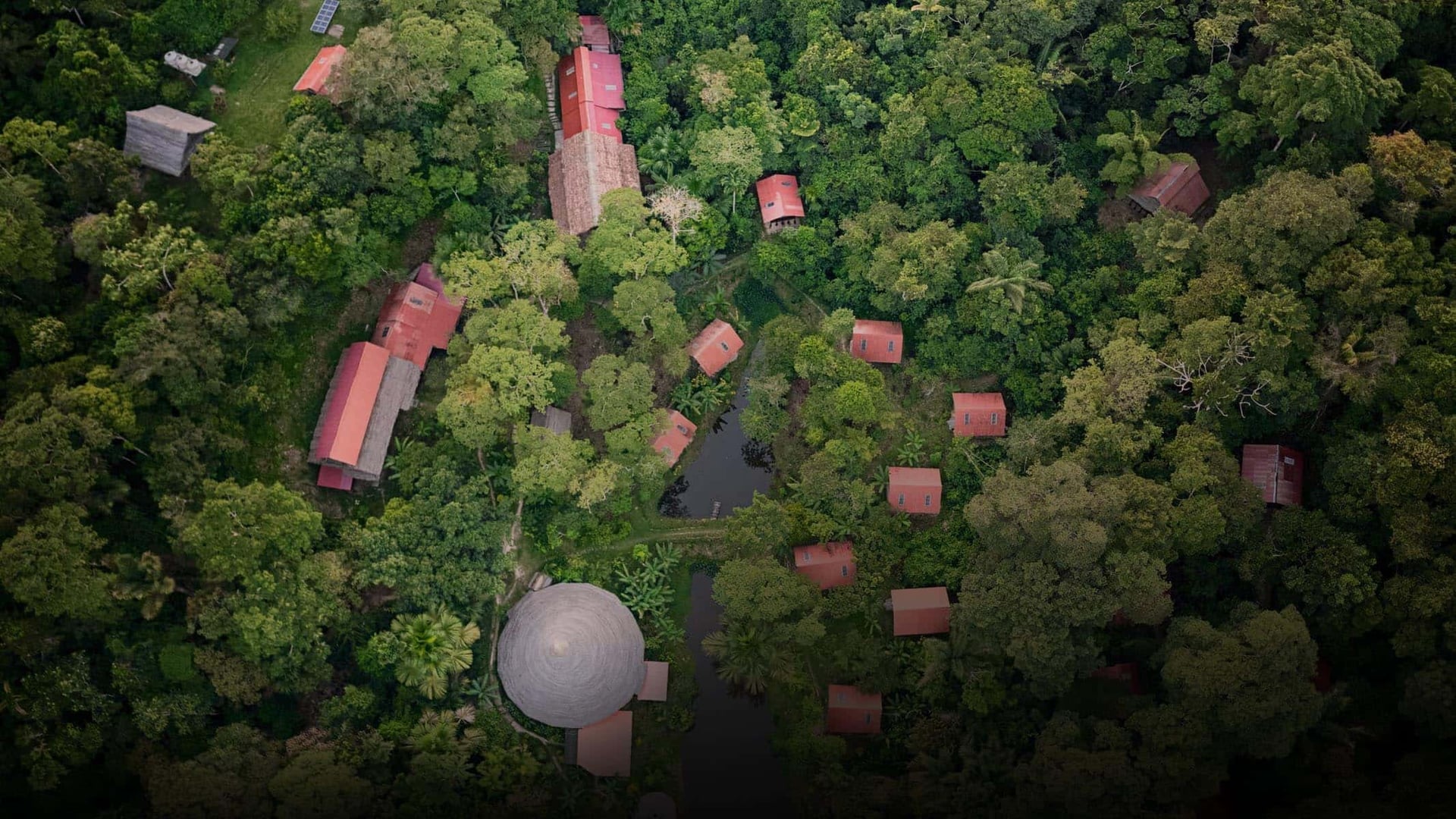 Ayahuasca-parantumisen retriitti + 5 päivän integraatioretriitti
