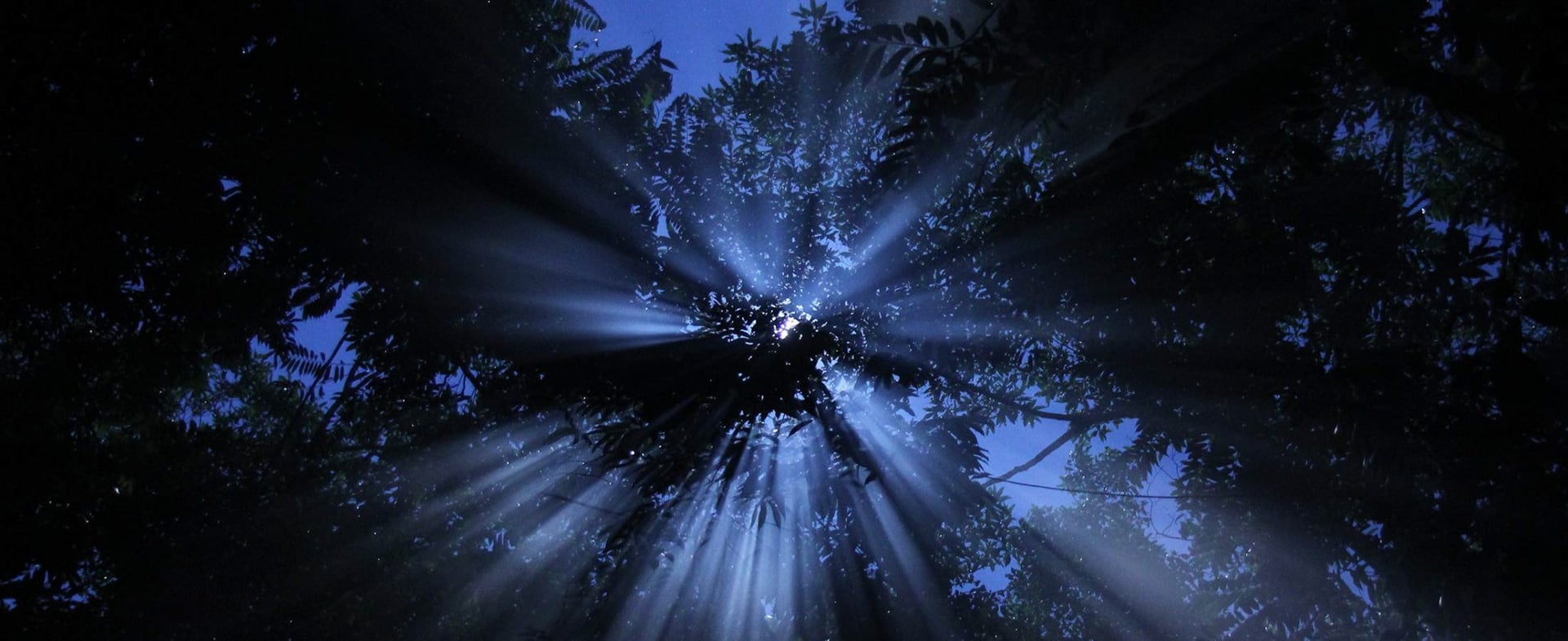 Terveydenhuollon Ammattilaisten Ayahuasca-retriitti 2026