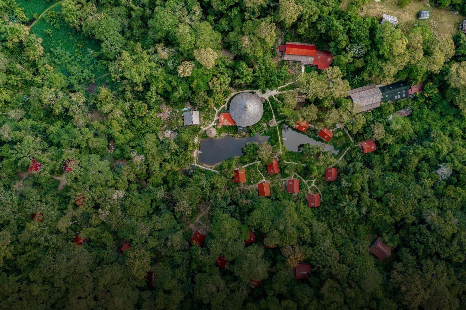 Terveydenhuollon Ammattilaisten Ayahuasca-retriitti 2026