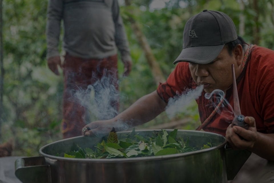 Terveydenhuollon Ammattilaisten Ayahuasca-retriitti 2026