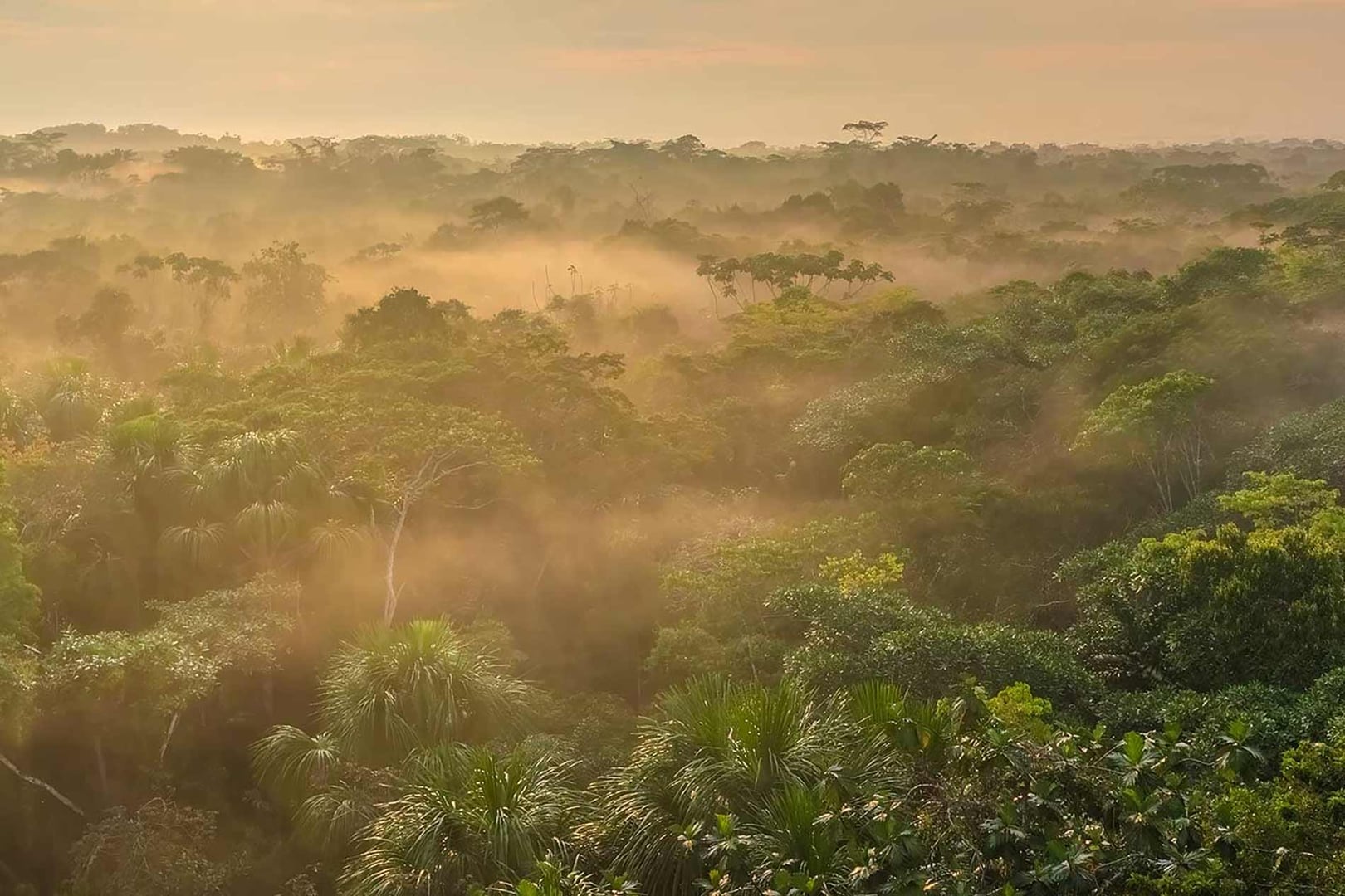 Terveydenhuollon Ammattilaisten Ayahuasca-retriitti 2026