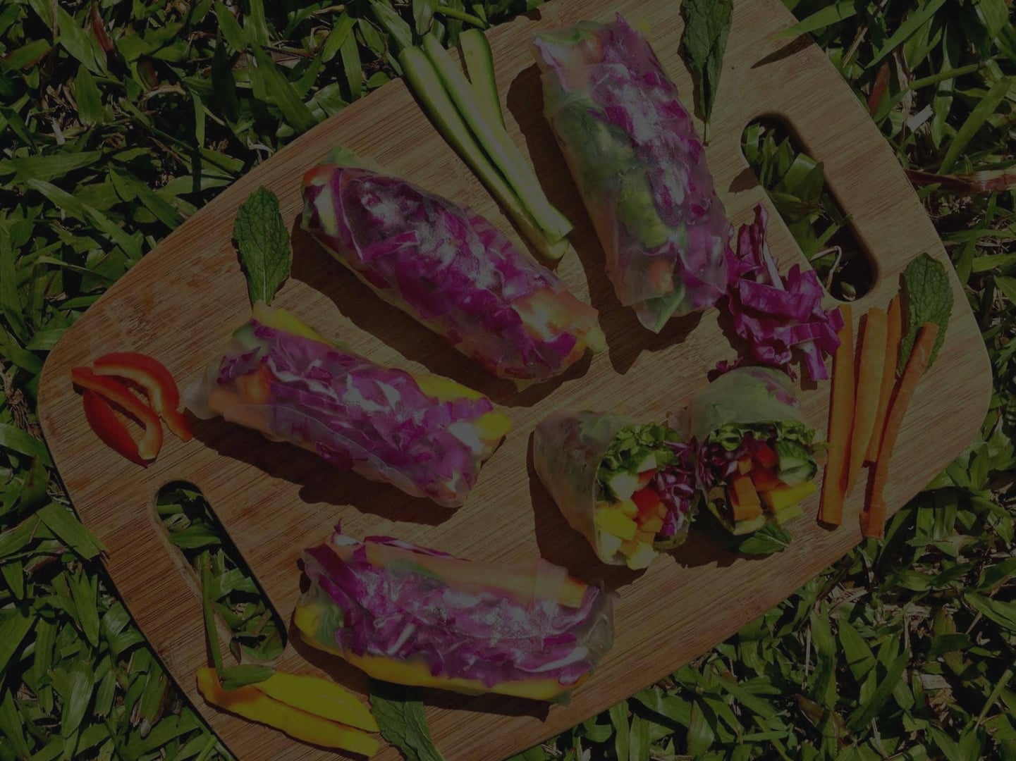 Terveydenhuollon Ammattilaisten Ayahuasca-retriitti 2026