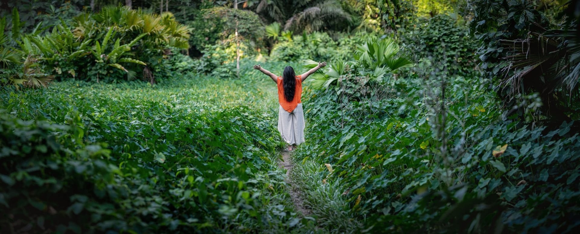 Terveydenhuollon Ammattilaisten Ayahuasca-retriitti 2026