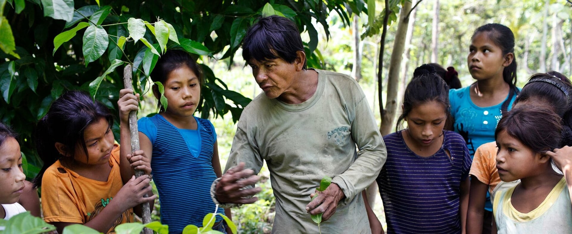 Linjassa Elämisen Ayahuasca-parannusretriitti + 5 päivän integraation jatkoretriitti