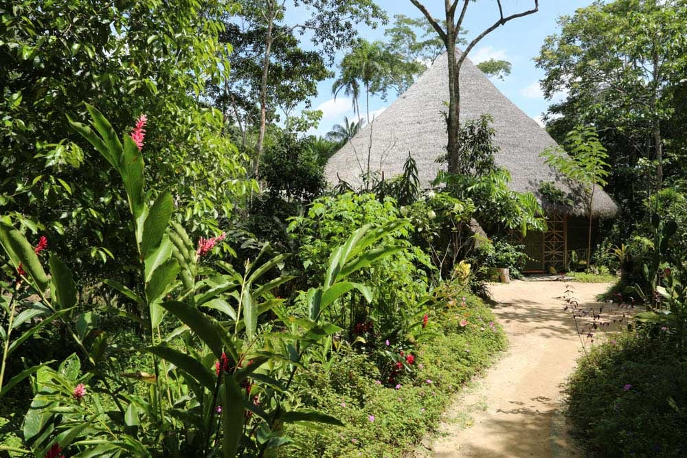 Linjassa Elämisen Ayahuasca-parannusretriitti + 5 päivän integraation jatkoretriitti