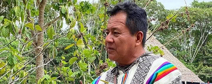 8 viikon ayahuasca-aloituskurssi