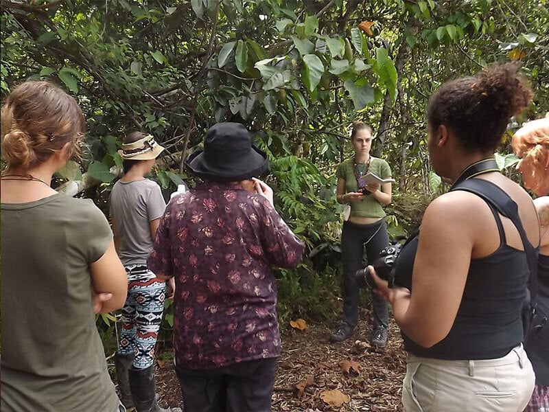 10 päivän naisten ayahuascaretriitti