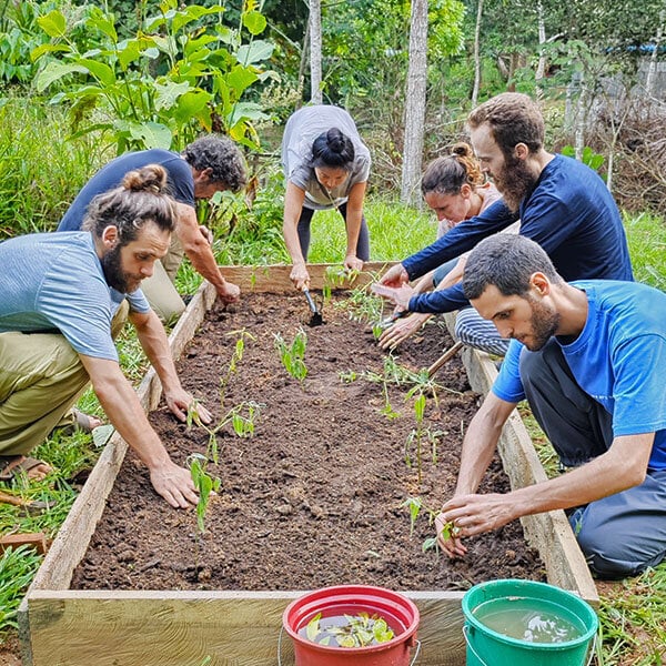 Perun kahdeksan viikon Shipibo-ayahuasca-initiaatiokurssi – 4. lokakuuta – 28. marraskuuta 2026