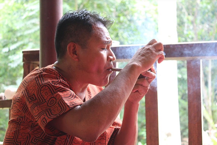 Shipibo-ayahuasca-retriitti ja kasvilääkedieetta