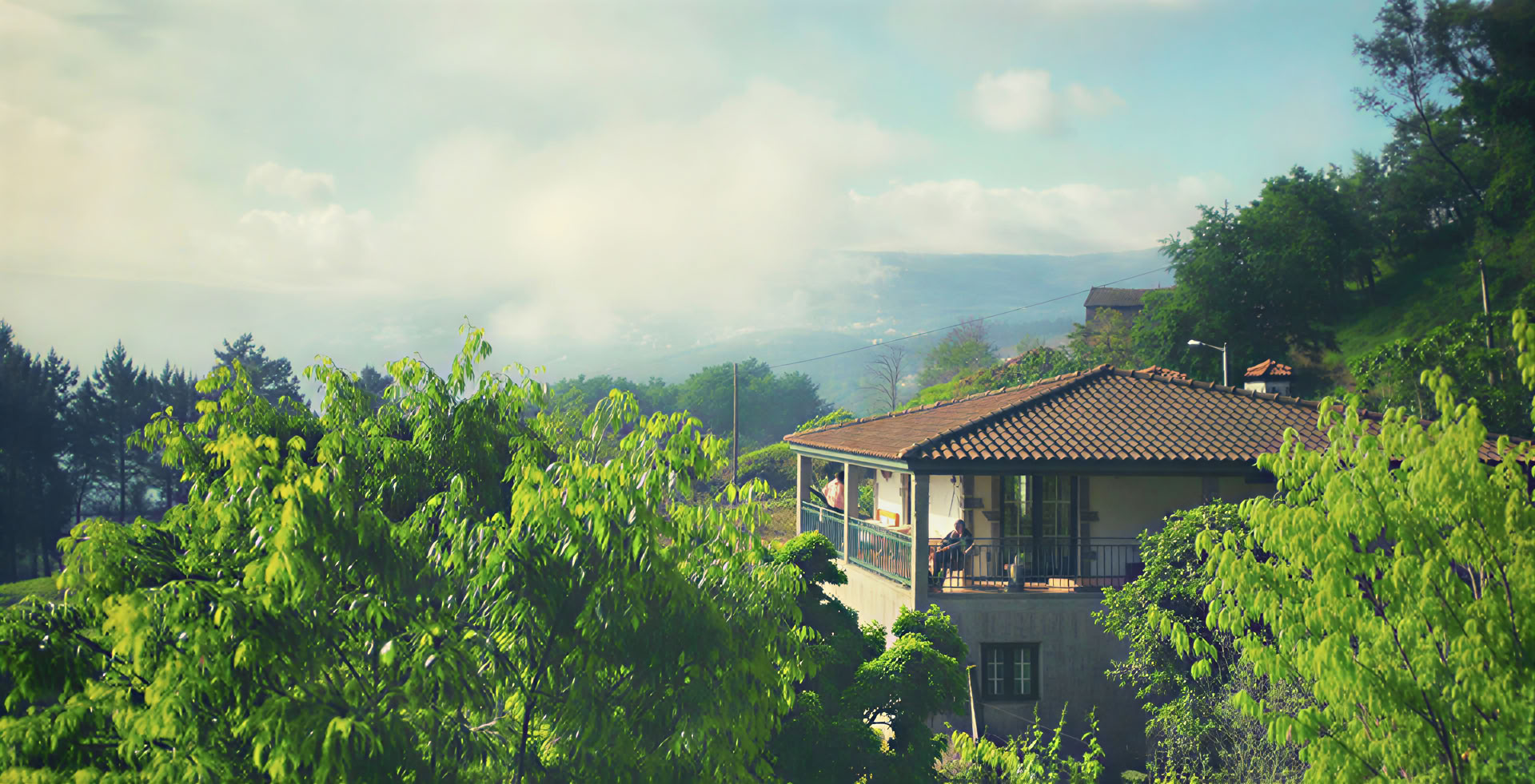4 päivän psilosybiiniretriitti (psykoterapeuttinen tuki)