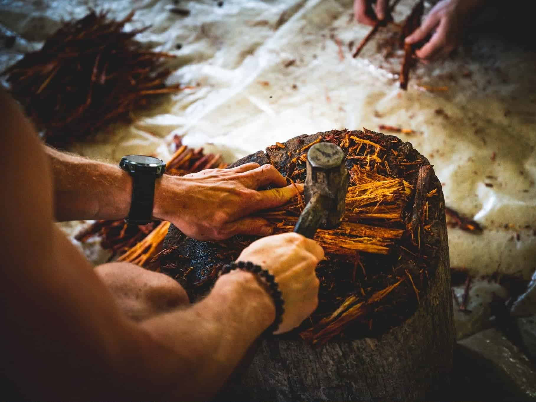 5 päivän ayahuasca-retriitti Ecuadorissa