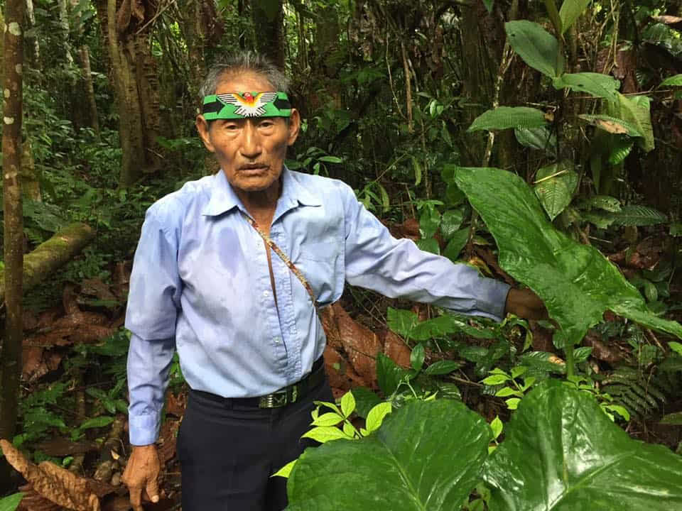 5 päivän ayahuasca-retriitti Ecuadorissa