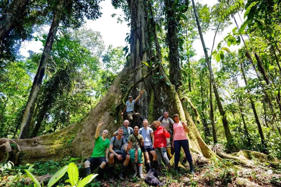 5 päivän ayahuasca-retriitti Ecuadorissa