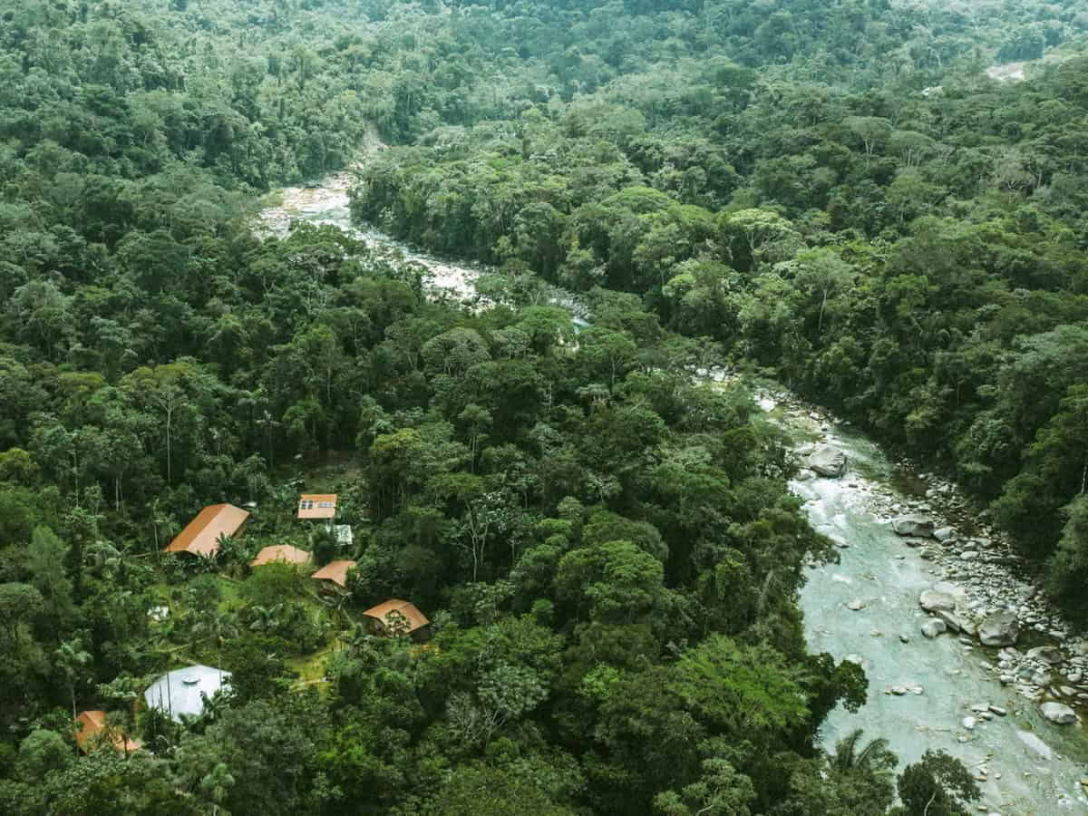 5 päivän ayahuasca-retriitti Ecuadorissa