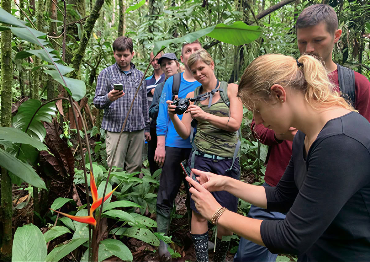 5 päivän ayahuasca-retriitti Ecuadorissa
