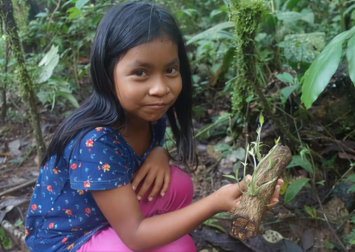 5 päivän ayahuasca-retriitti Ecuadorissa