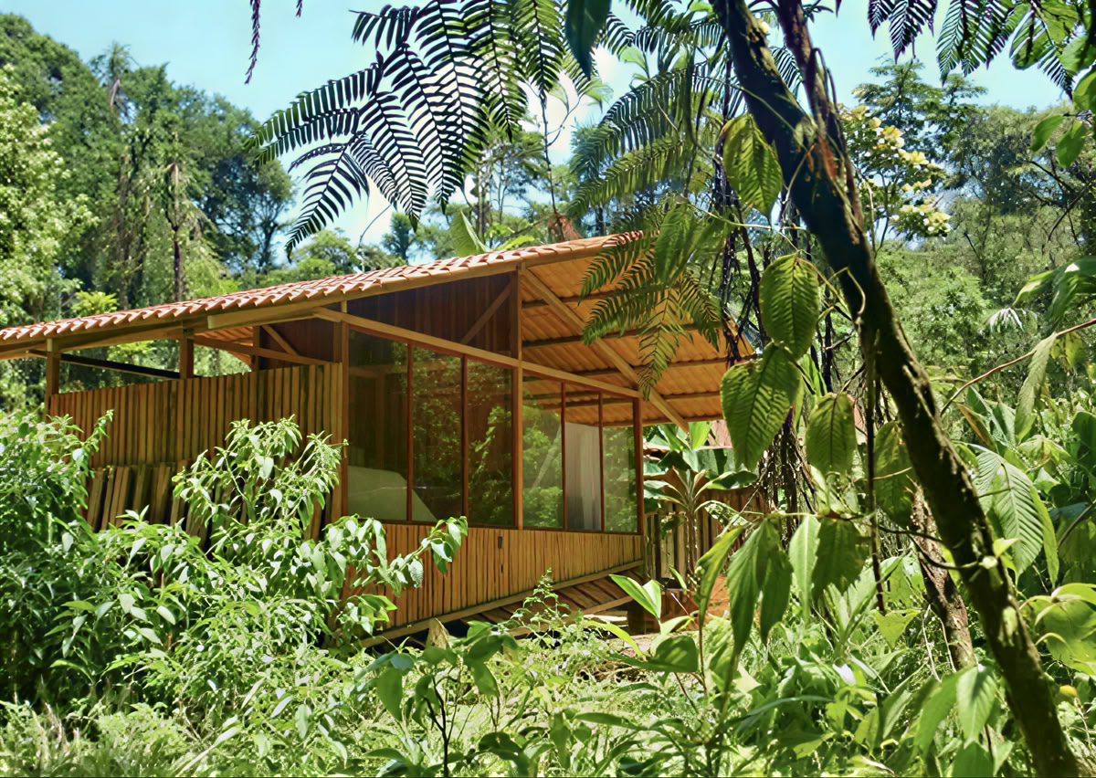 5 päivän ayahuasca-retriitti Ecuadorissa