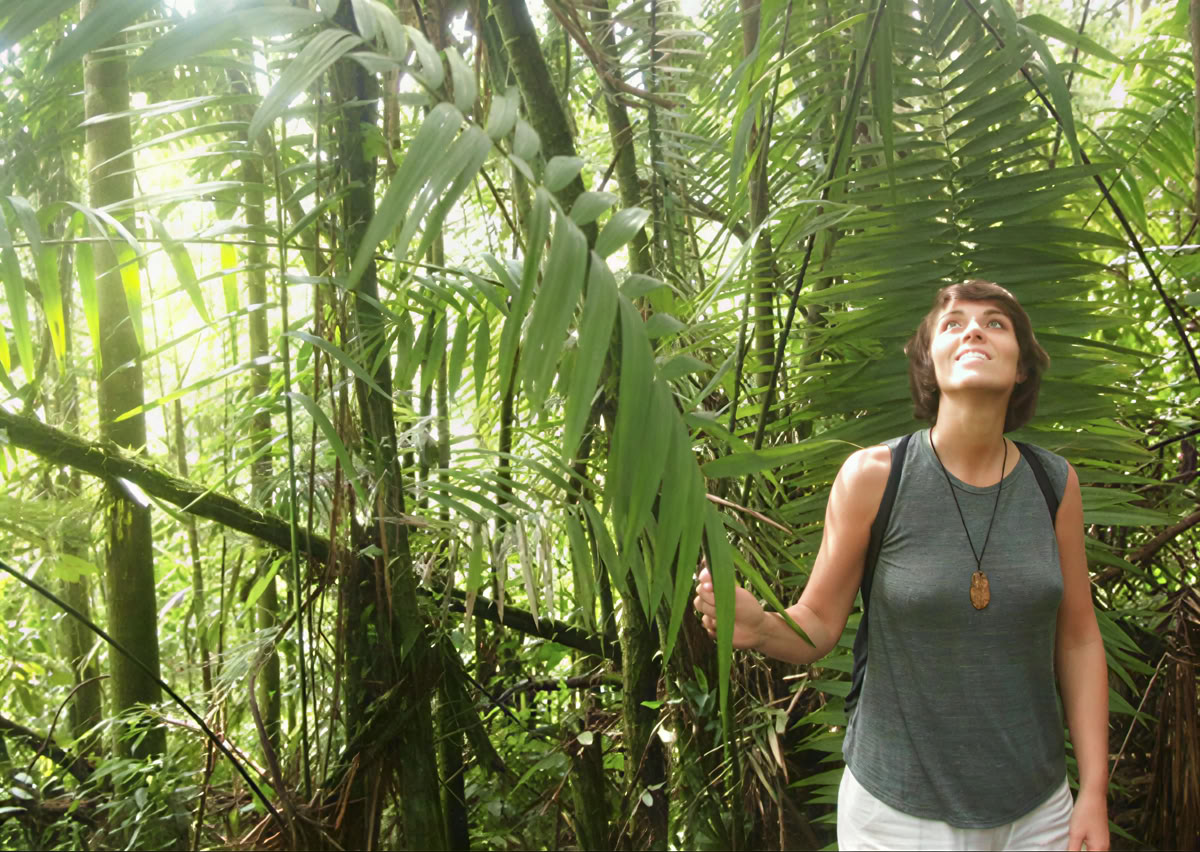 5 päivän ayahuasca-retriitti Ecuadorissa