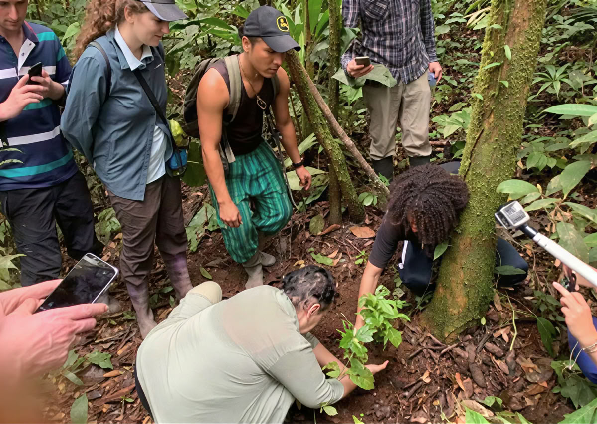 5 päivän ayahuasca-retriitti Ecuadorissa