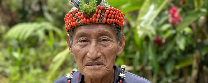 5 päivän ayahuasca-retriitti Ecuadorissa