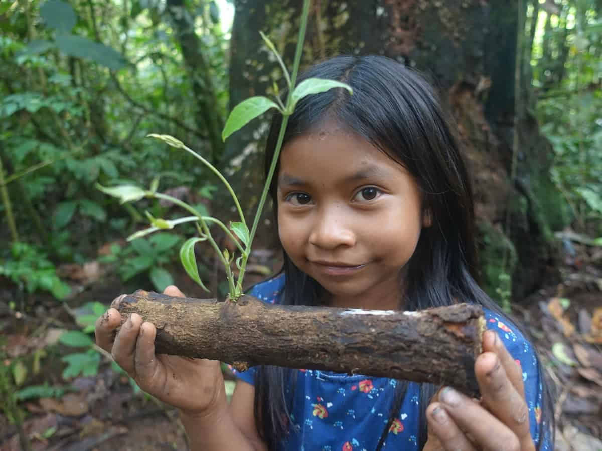 Ayahuasca-seremonia Ecuadorissa