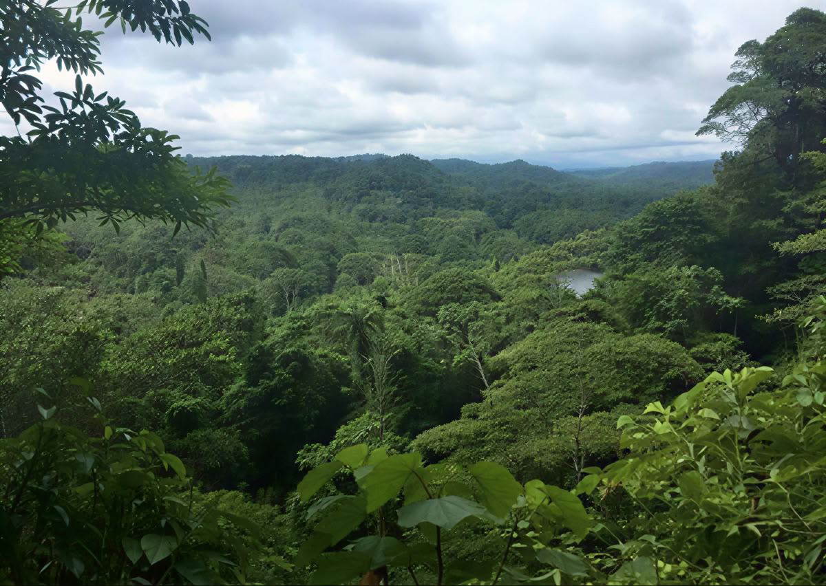 Ayahuasca-seremonia Ecuadorissa