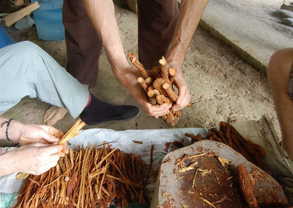 Ayahuasca-seremonia Ecuadorissa