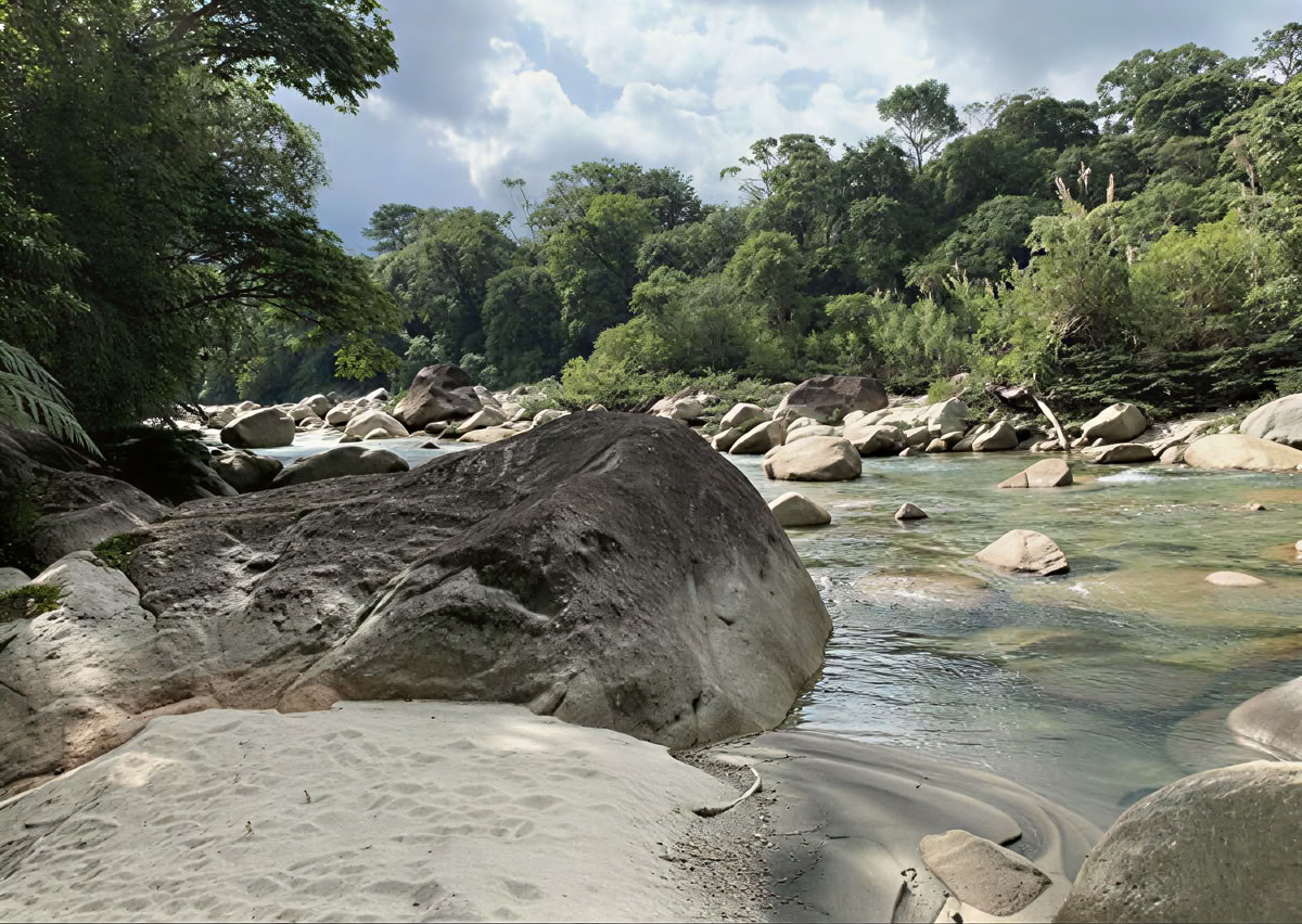 Ayahuasca-seremonia Ecuadorissa
